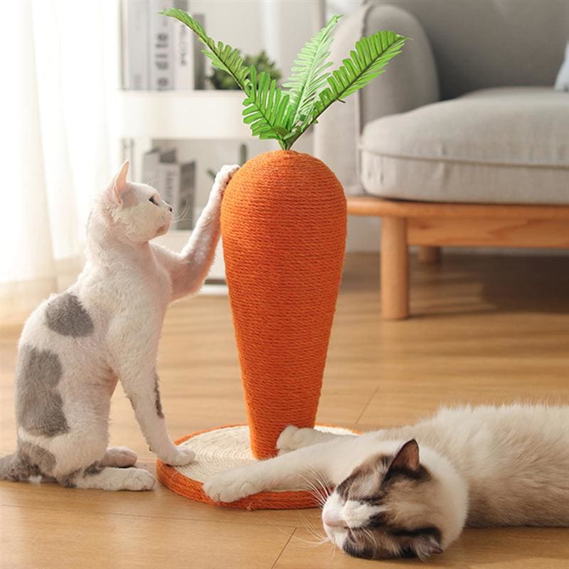 Chats avec griffoir pour chat en forme de carotte