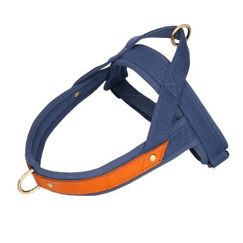 Harnais en T pour chien - Premium bleu foncé