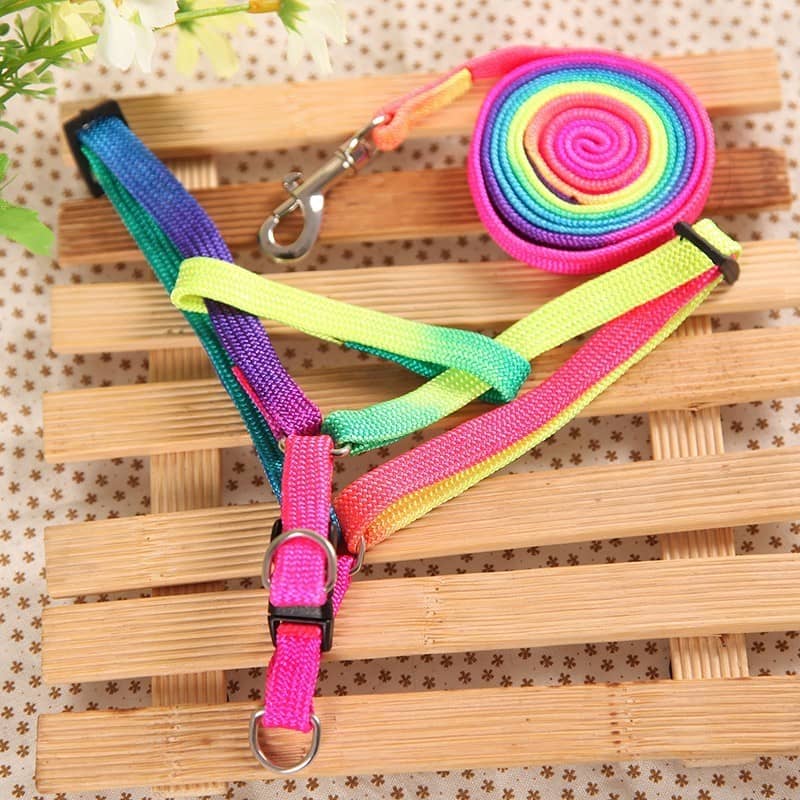 Harnais arc-en-ciel pour animaux