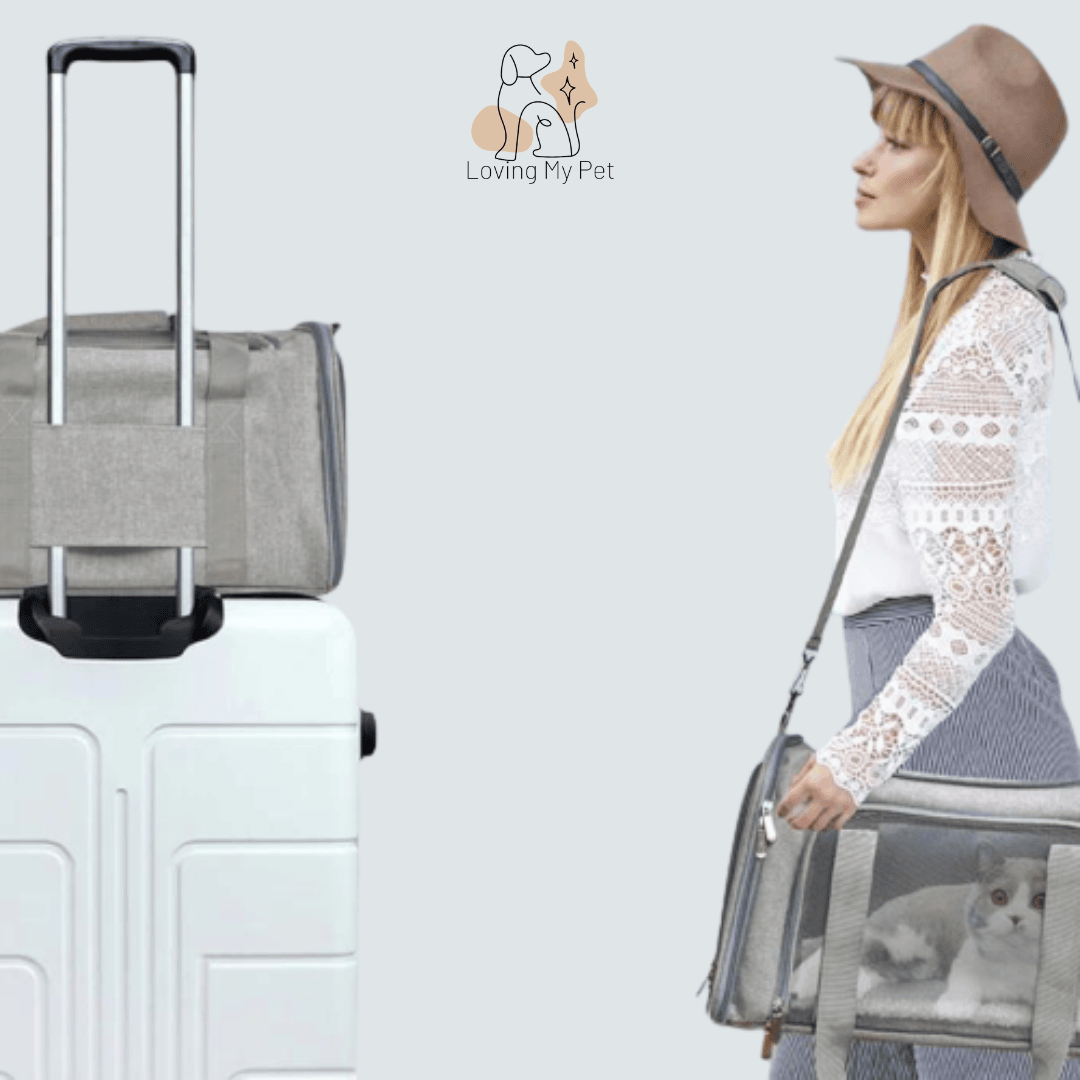 Utilisation du sac de transport pour animaux