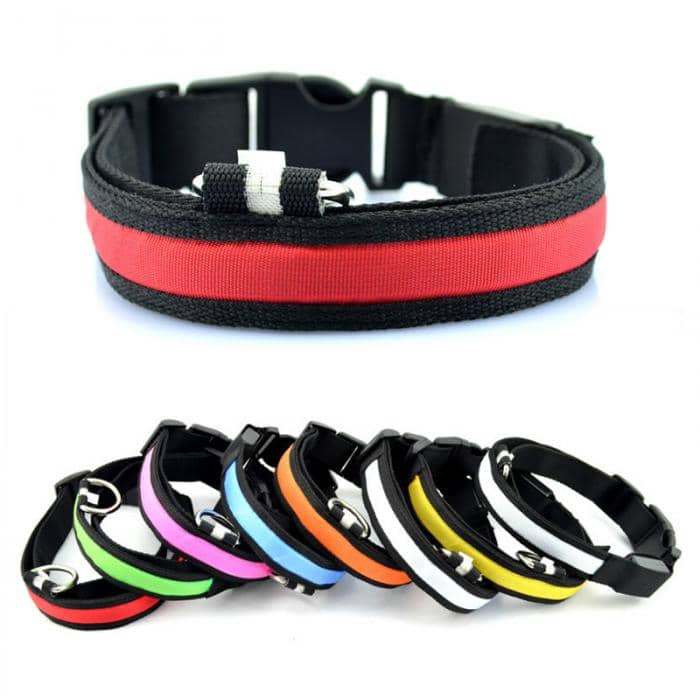 Collection de collier lumineux LED pour chien et chat
