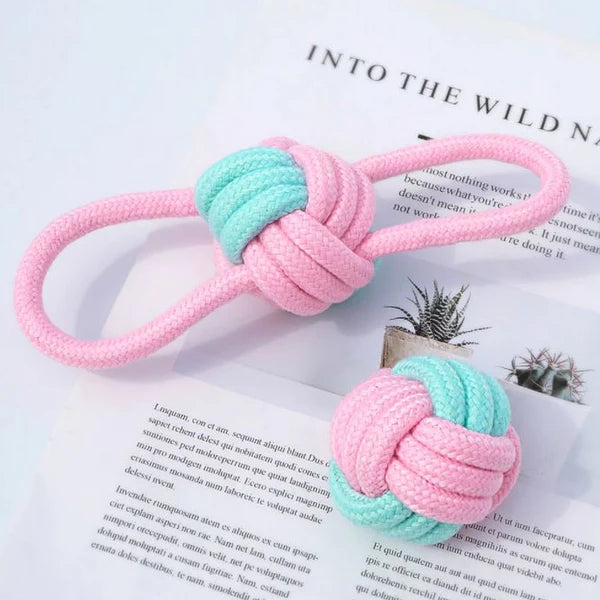 Lot de 6 cordes roses à mâcher pour chien avec une conception de qualité