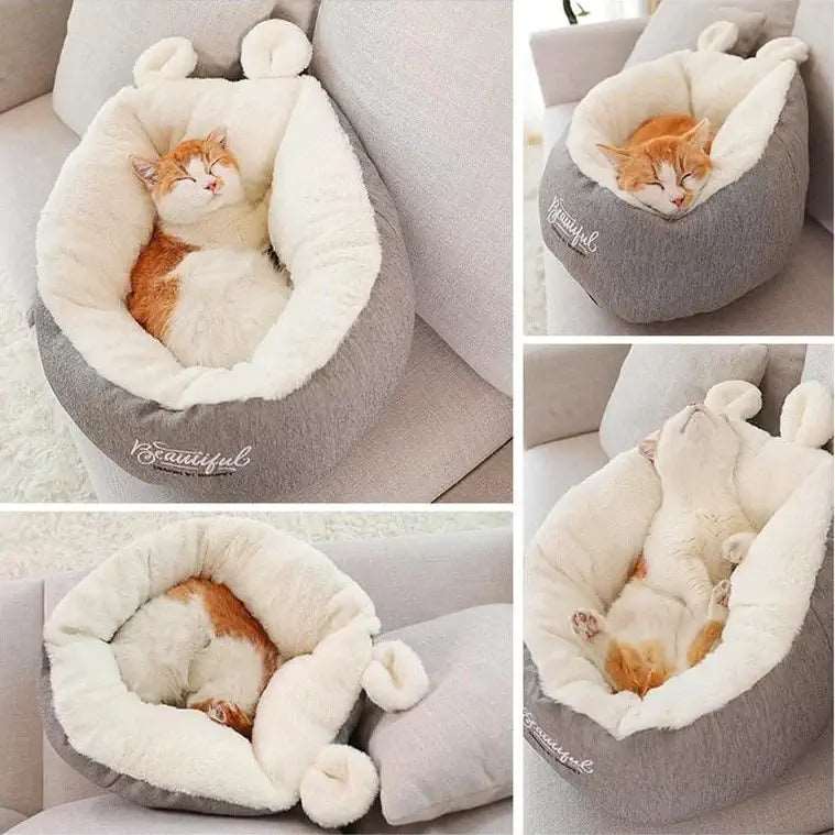 Chat dans un lit douillet en coton pour chat