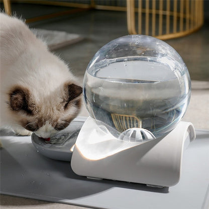 Chat avec notre fontaine bulle à eau