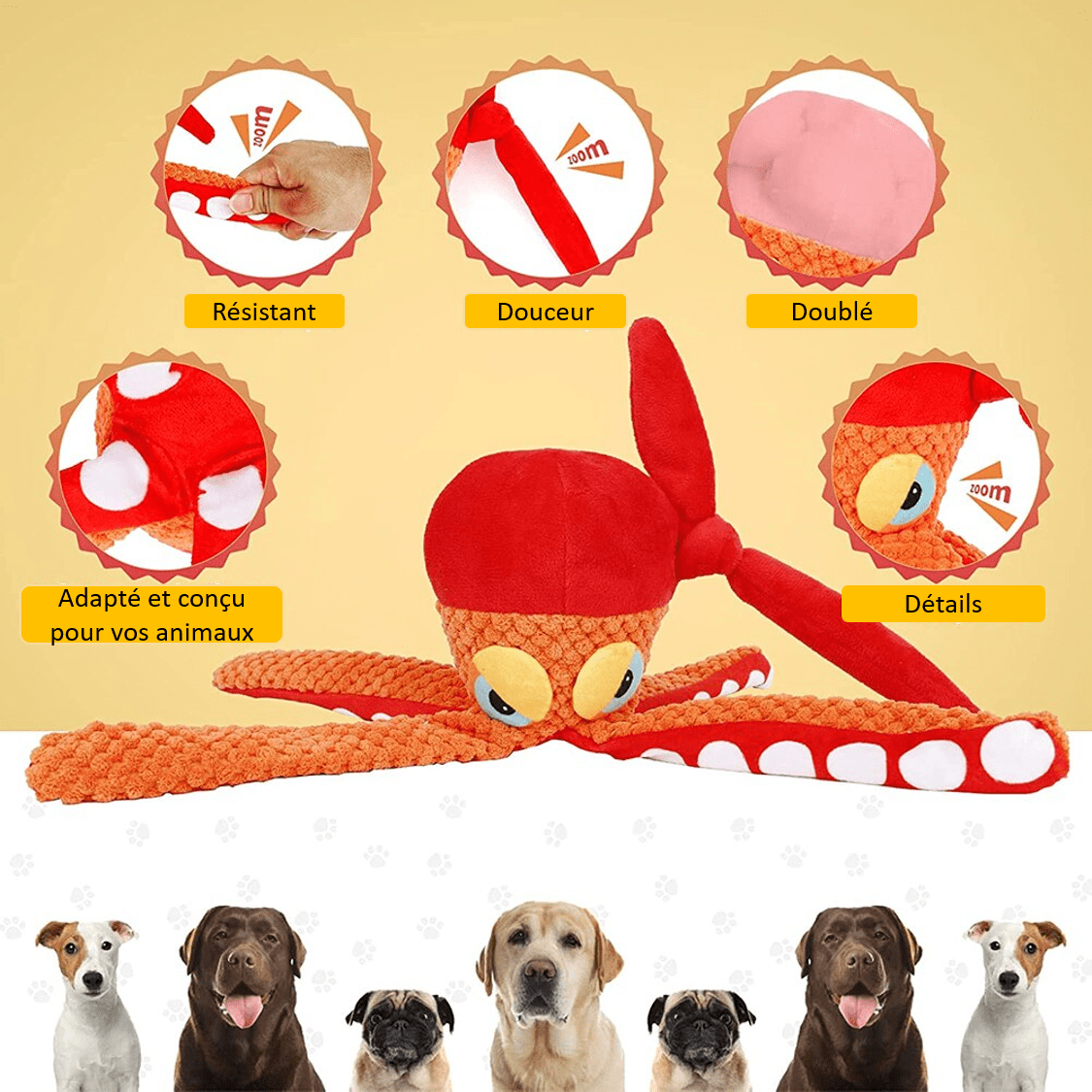 Présentation du poulpe en peluche pour chien