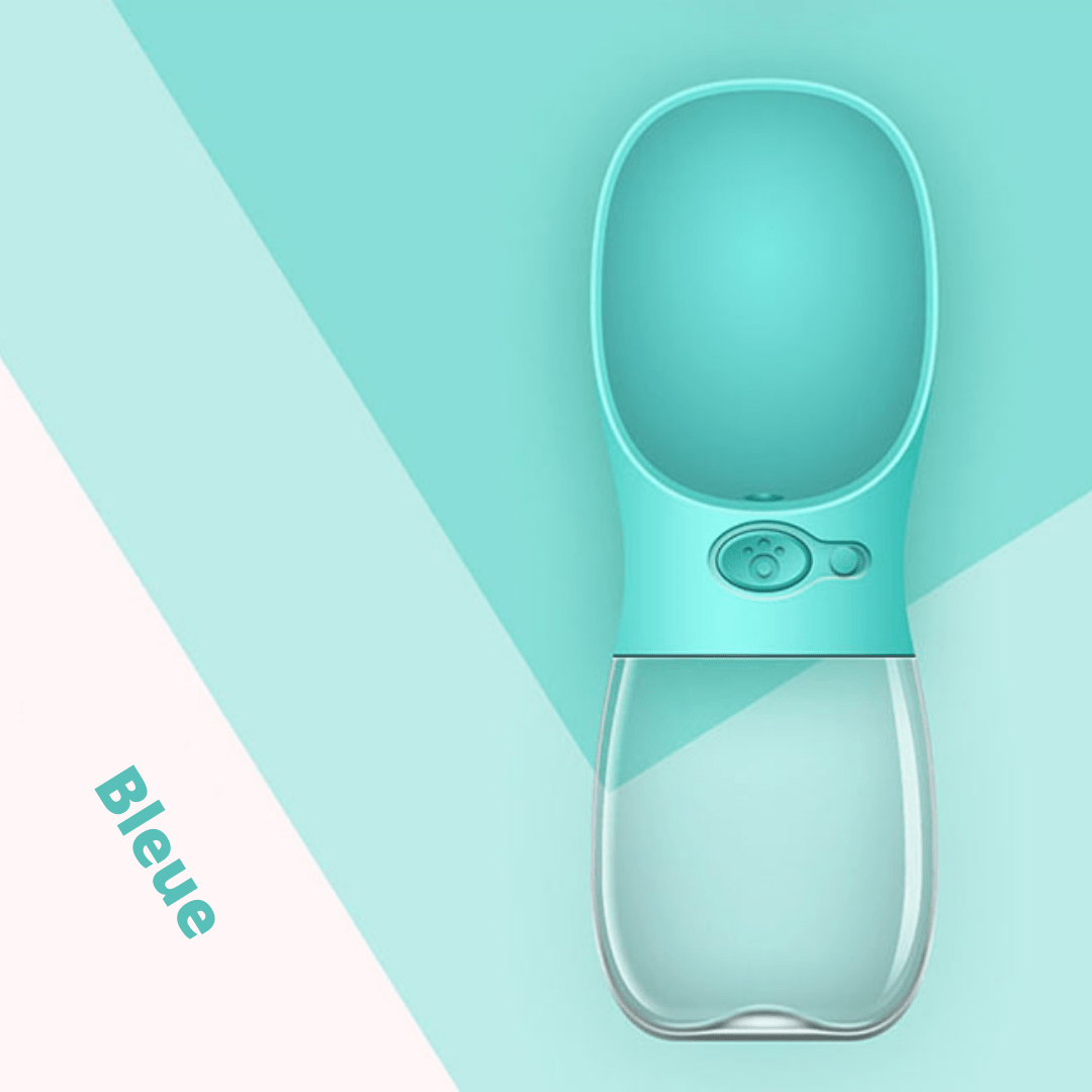 Gourde bleue d'eau pour animaux