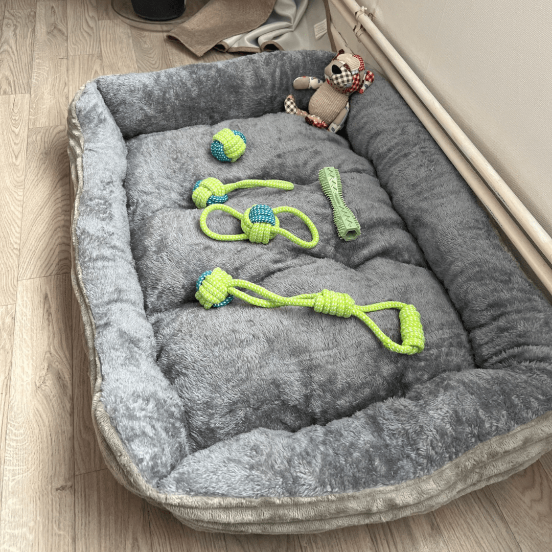 Lot de corde verte à mâcher pour chien