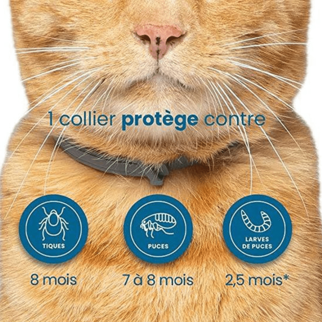 Collier anti-puces et anti-tiques gris pour chien et chat
