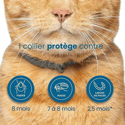 Collier anti-puces et anti-tiques gris pour chien et chat