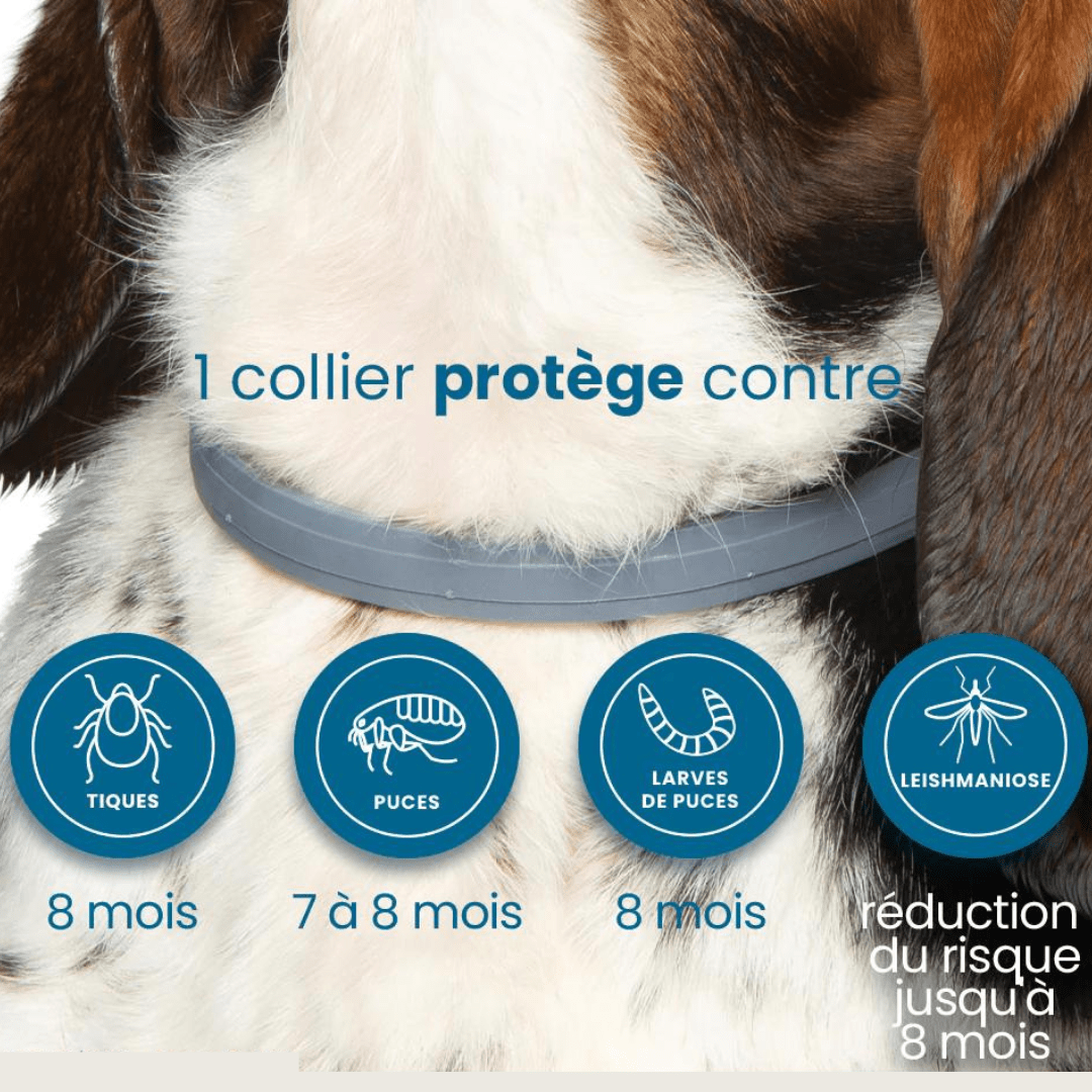 Collier anti-puces et anti-tiques gris pour chien et chat