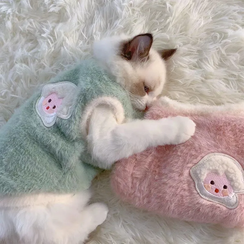 Chaleur cozy de notre pull doux et chaud pour chat