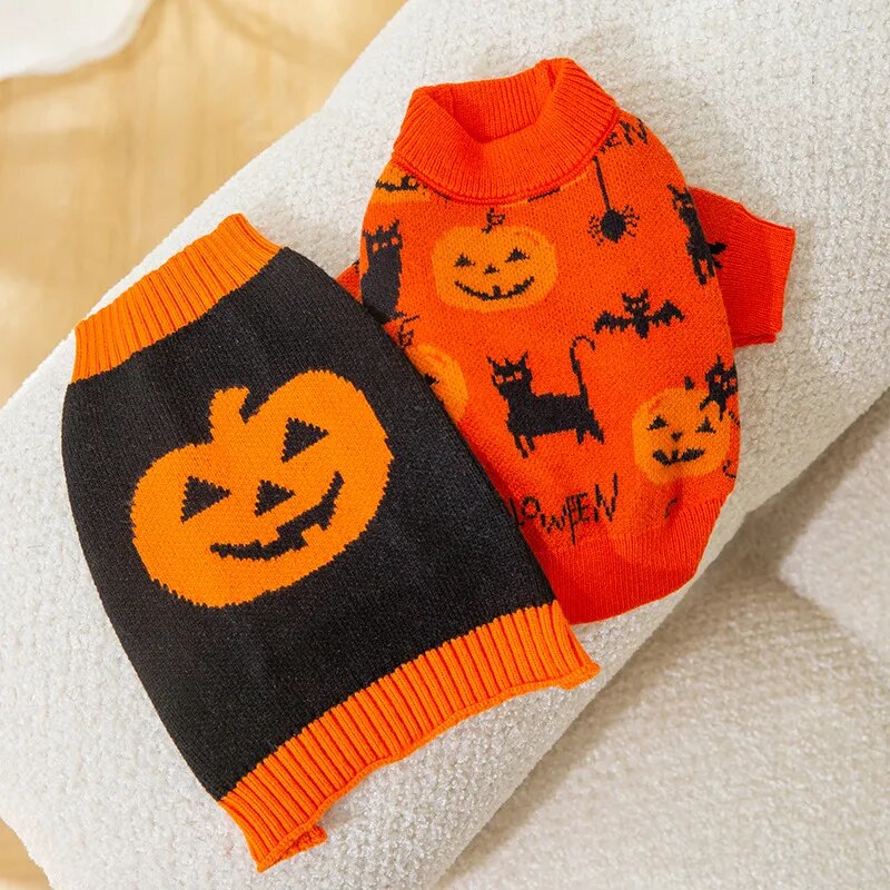 Pull Halloween pour chien