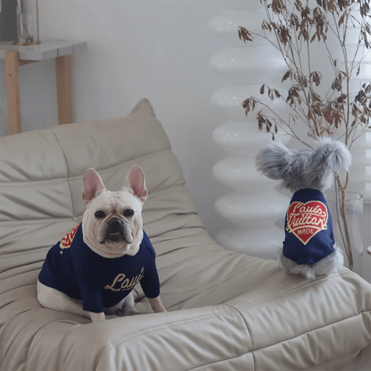 Confort exceptionnel de notre pull LV pour chien