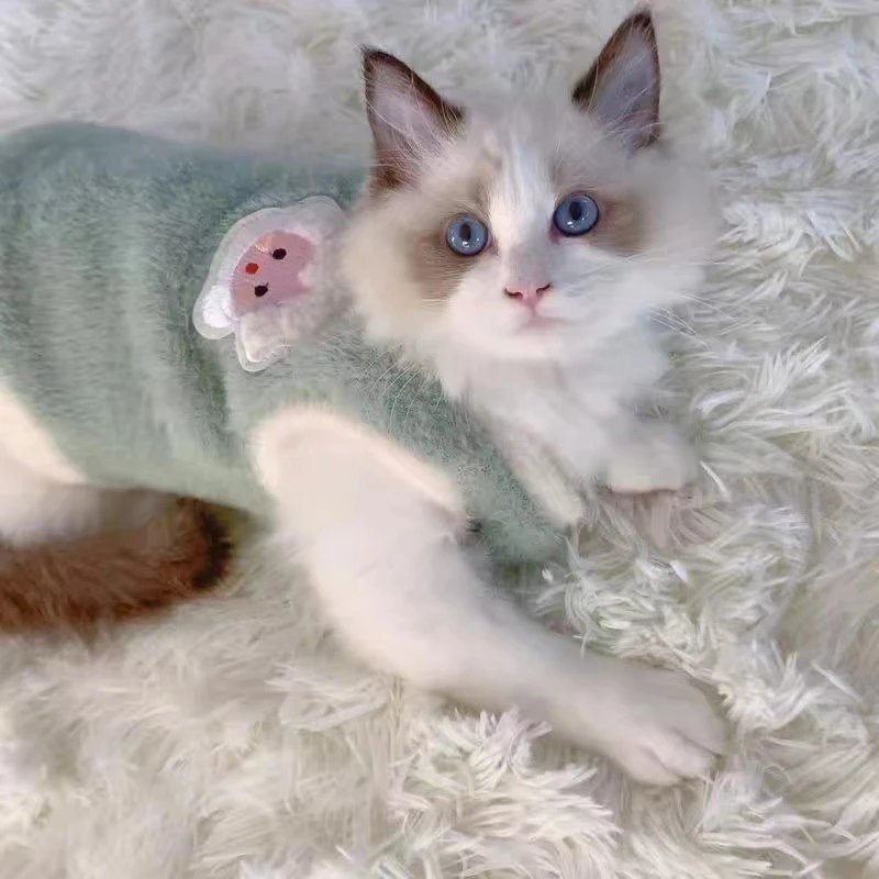 Pull doux et chaud vert pour chat