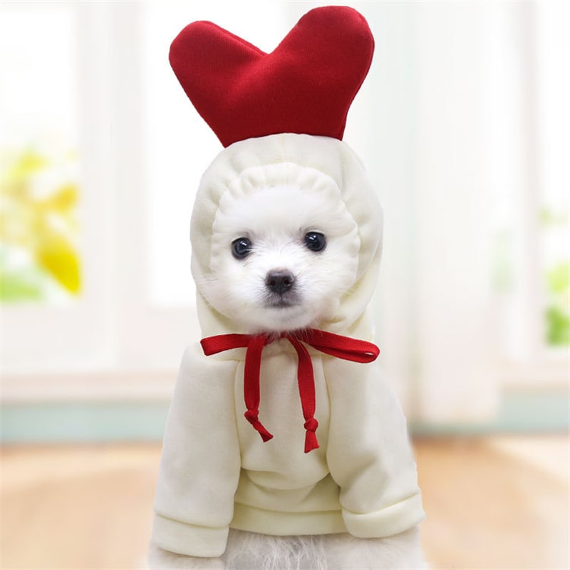 Pull à capuche en forme de coeur pour chien et chat