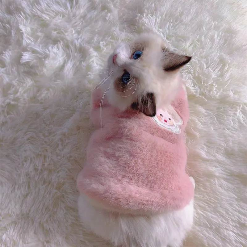 Chat avec notre pull doux et chaud rose pour chat