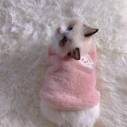 Chat avec notre pull doux et chaud rose pour chat