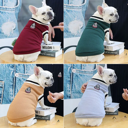 Chien avec notre pull style Collège pour chien