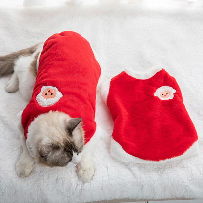 Chat avec notre pull doux et chaud pour chat