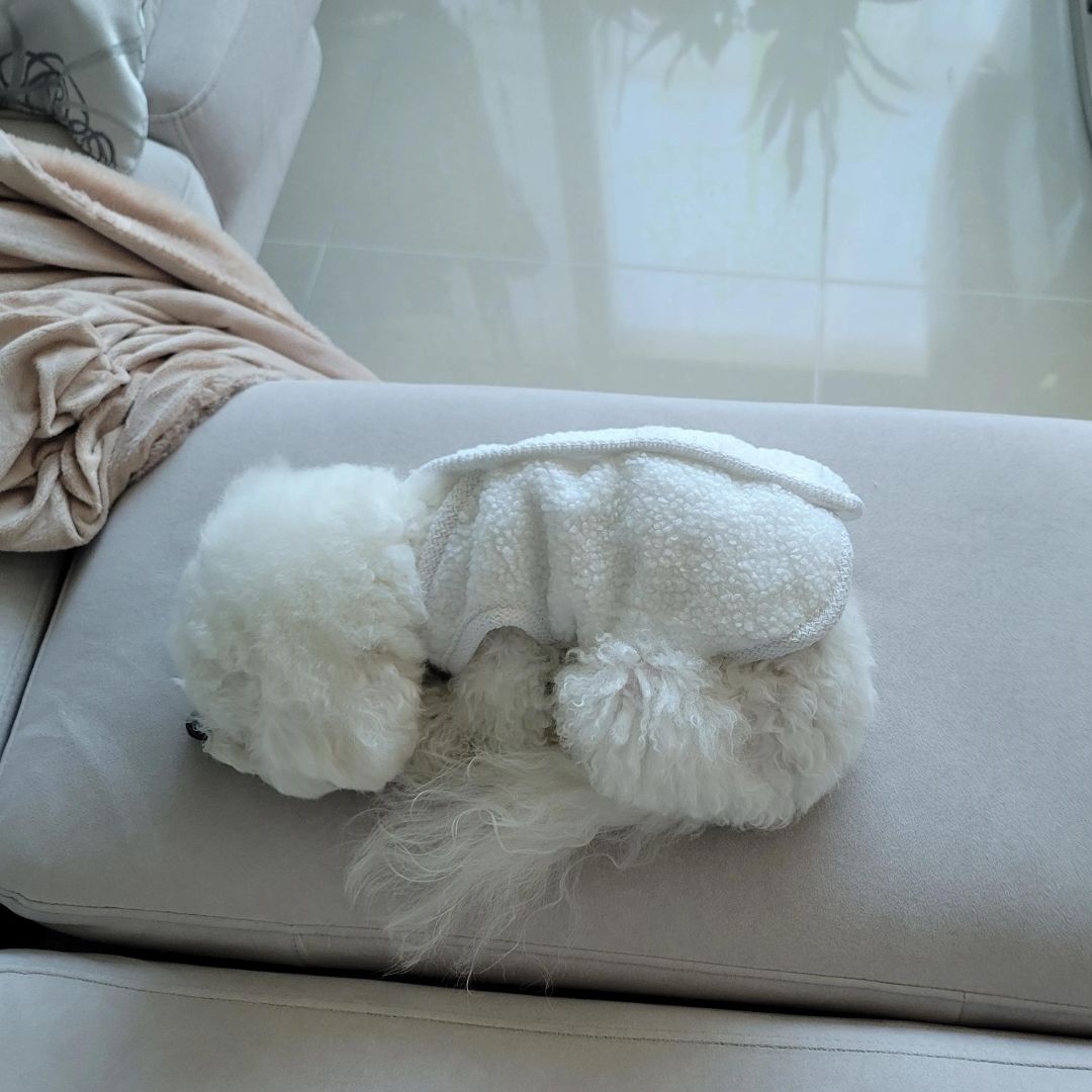 Gilet chaud d'hiver pour chien