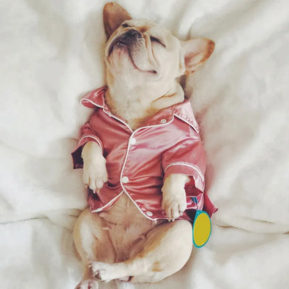 Pyjama en soie pour chien