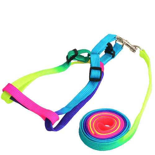 Harnais arc-en-ciel pour animaux