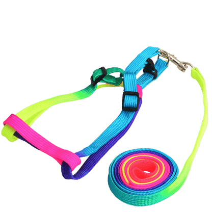 Harnais arc-en-ciel pour animaux