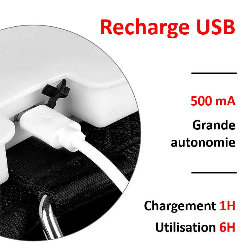 Harnais avec LED pour chien rechargeable