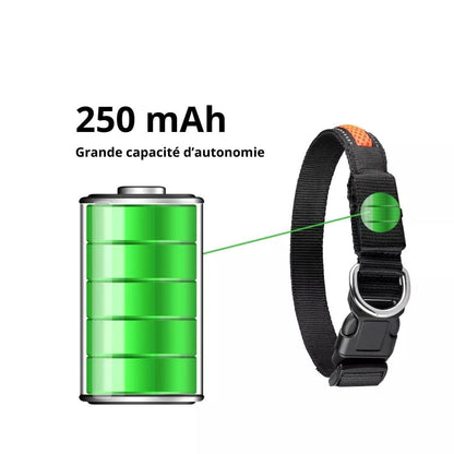 Grande capacité d'autonomie avec notre collier en nylon avec lumière Led pour chien