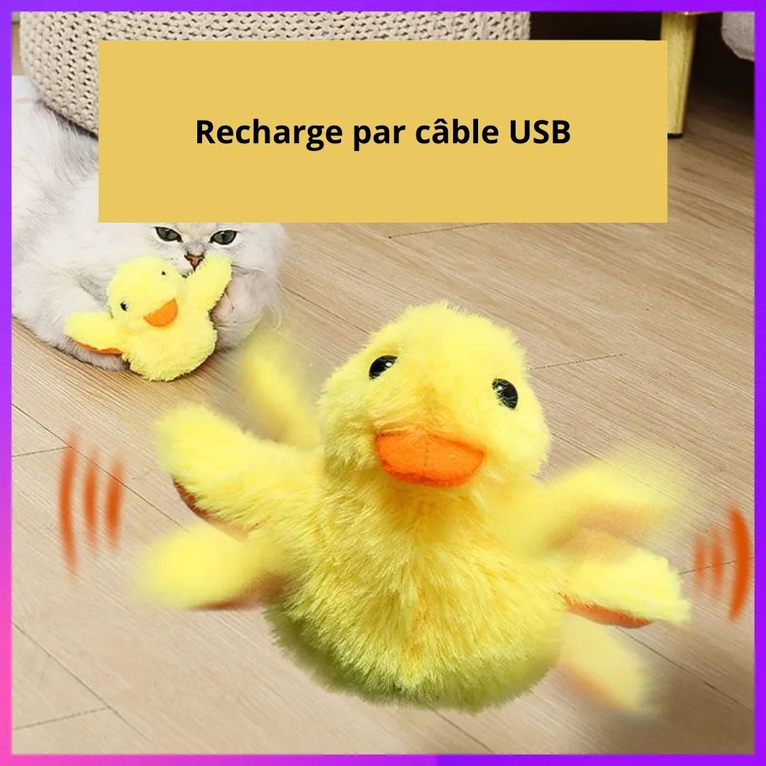 Rechargement par câble USB de notre peluche interactive canard pour chat