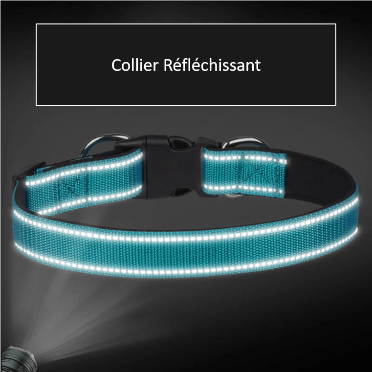 Collier réfléchissant pour chien