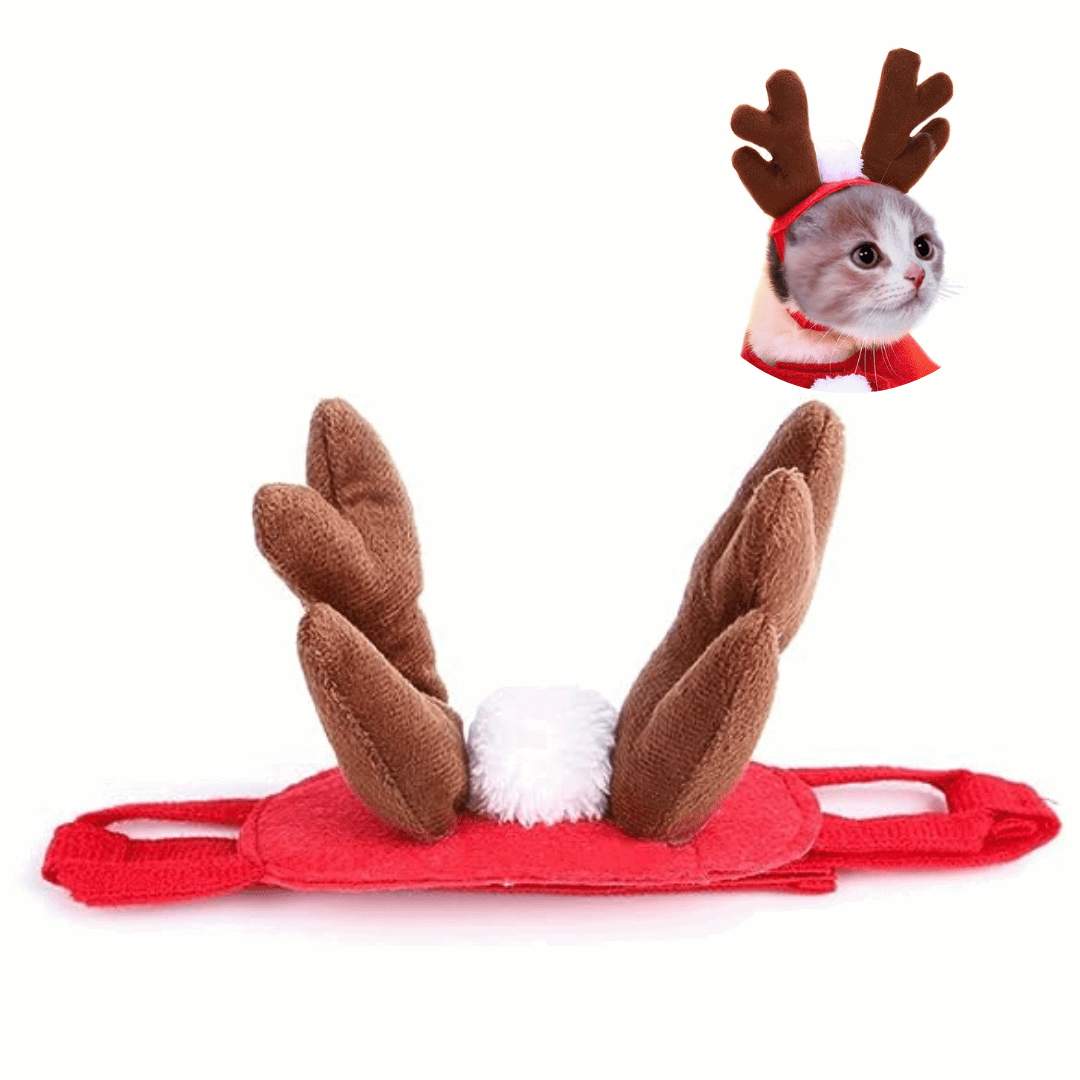 Déguisement de tête rennes pour chat