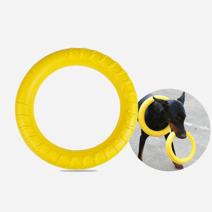 chien avec le grand anneau jaune