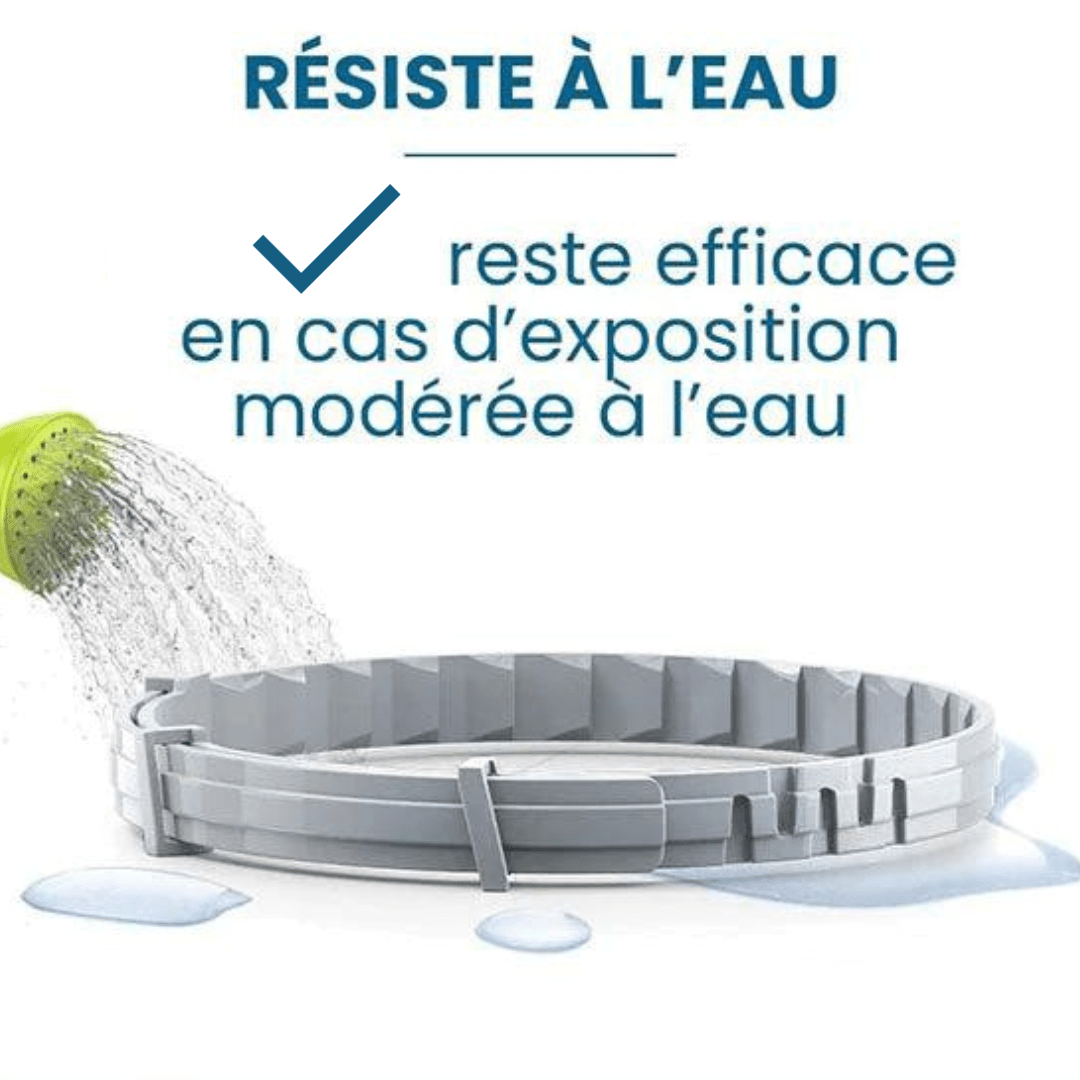 Collier anti-puces et anti-tiques pour chien et chat résistant à l'eau