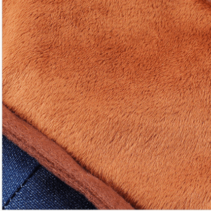 Détails de notre déguisement rodéo pour chat et chien