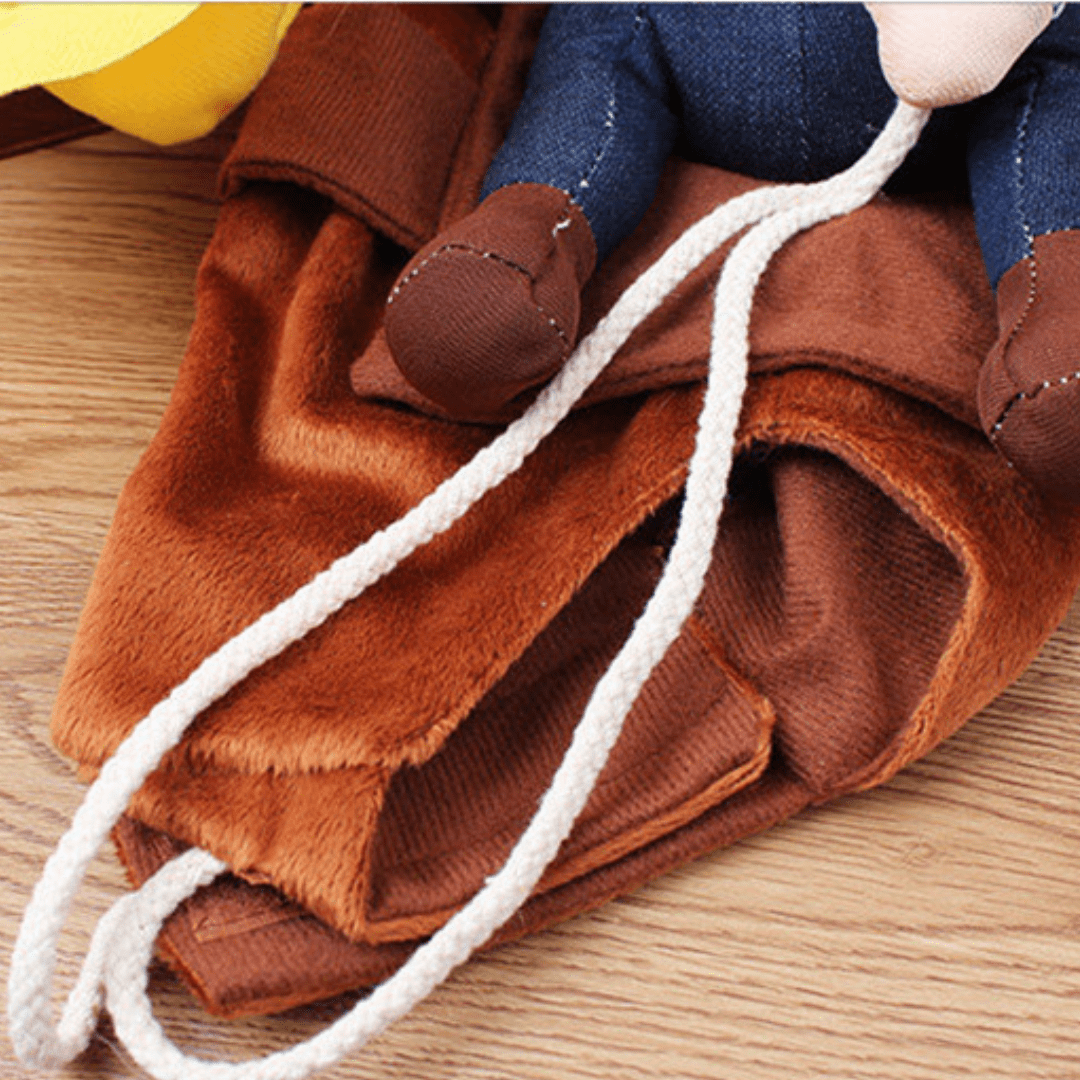 Déguisement rodéo pour chat et chien