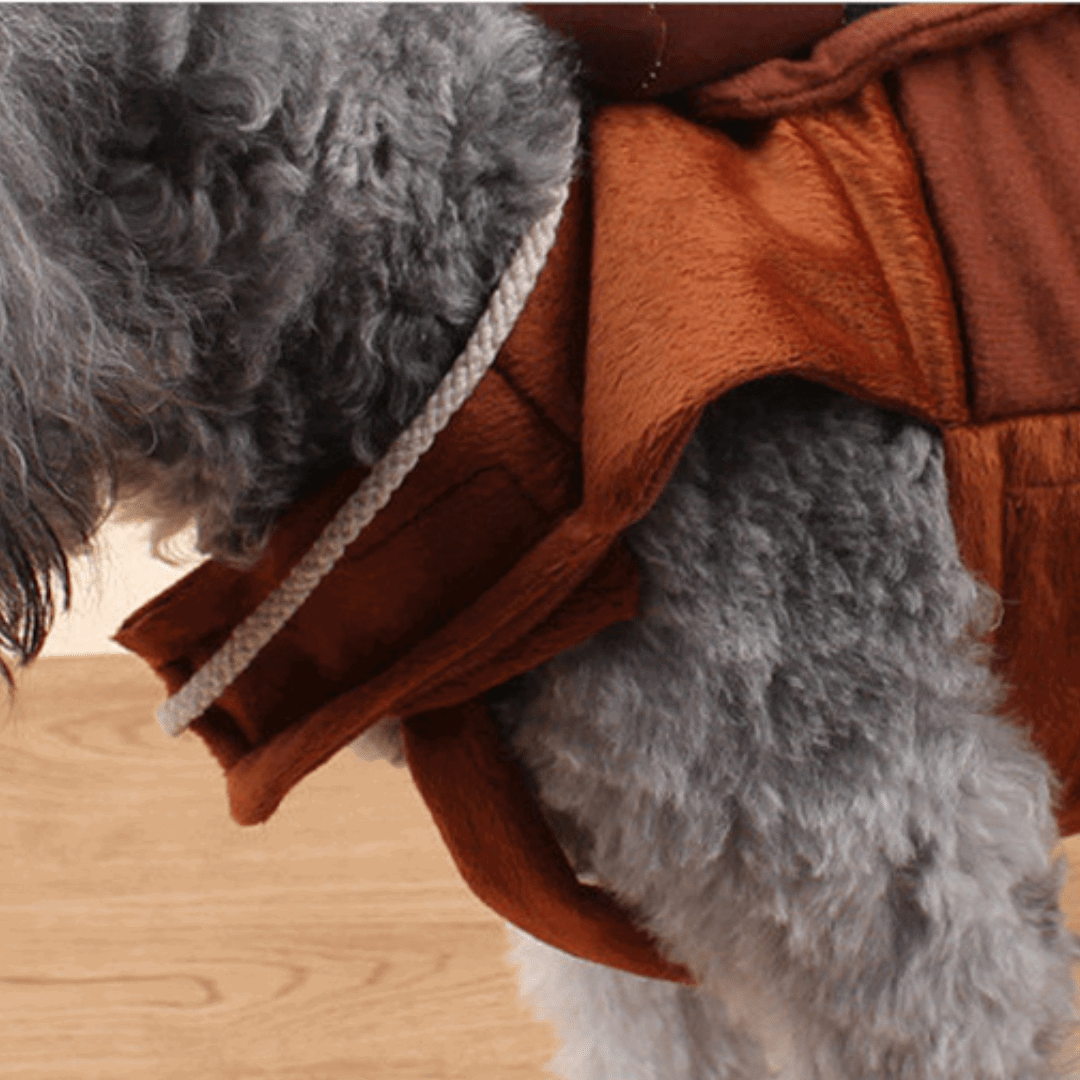 Détails de notre déguisement rodéo pour chat et chien