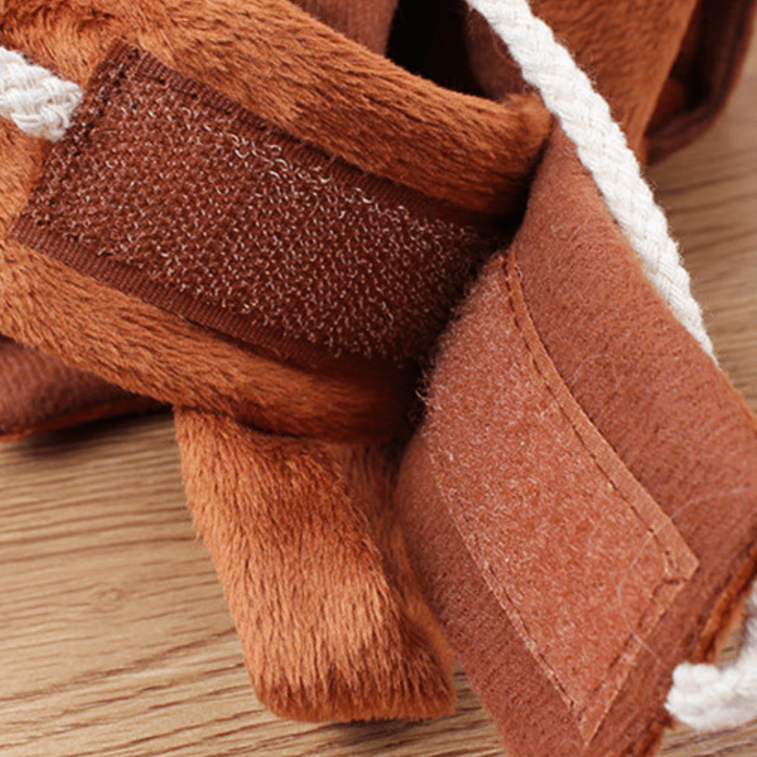 Détails de notre déguisement rodéo pour chat et chien