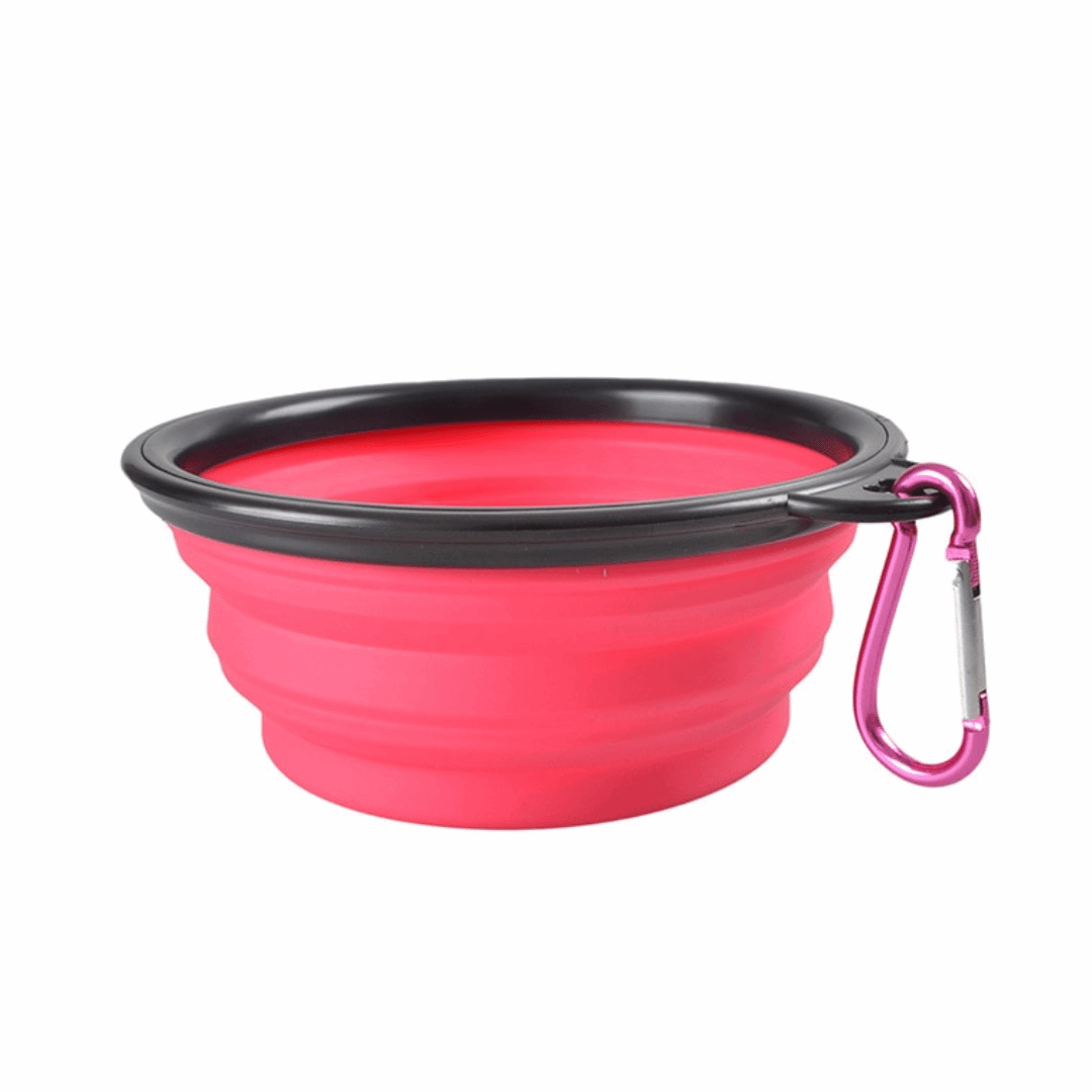 Gamelle de voyage rose pour chien