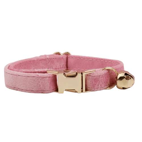 Collier en velours rose pour chat