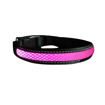 Collier rose en nylon avec lumière Led pour chien