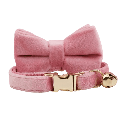 Collier en velours rose pour chat
