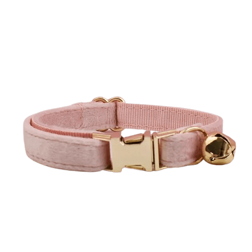 Collier en velours rose poudre pour chat