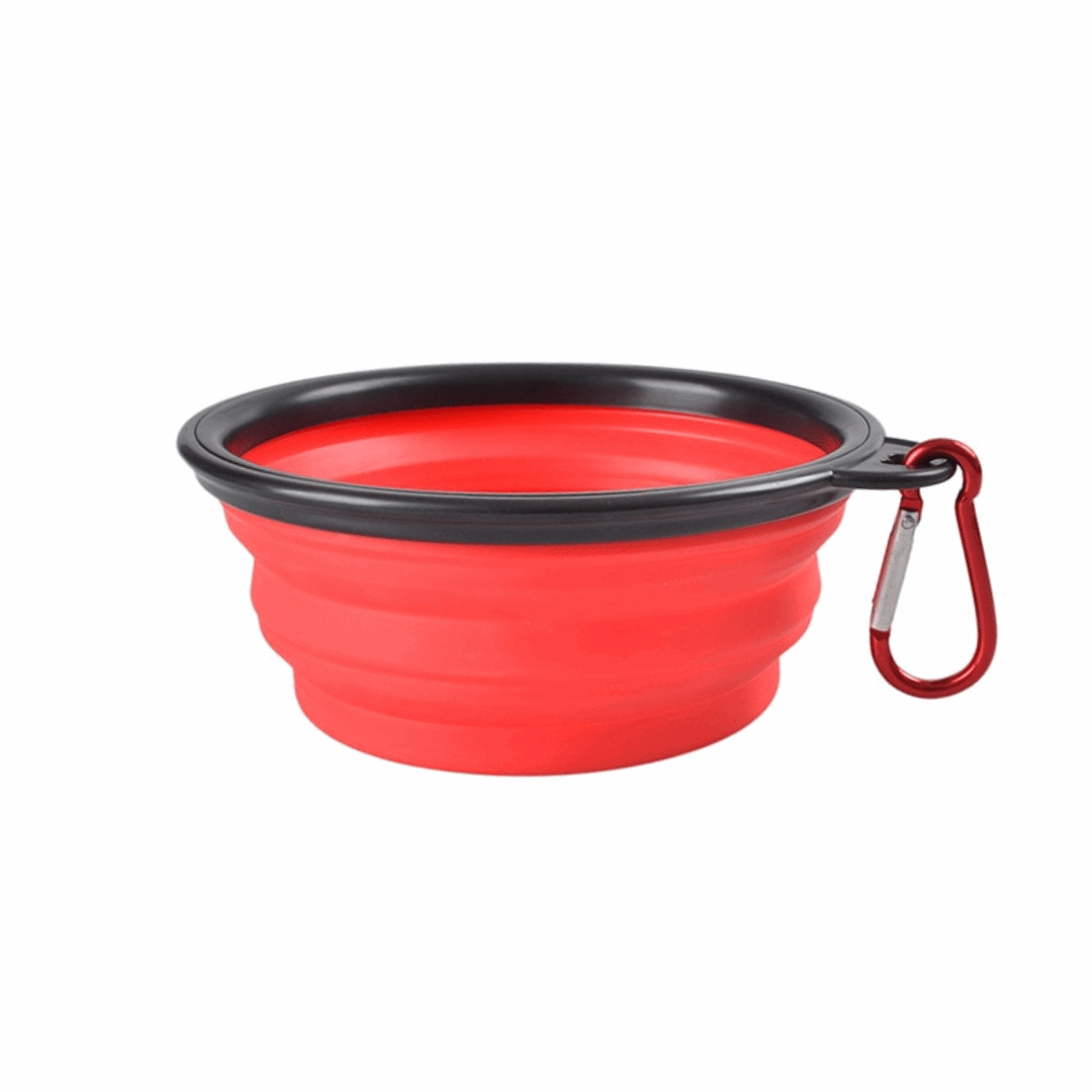 Gamelle de voyage rouge pour chien