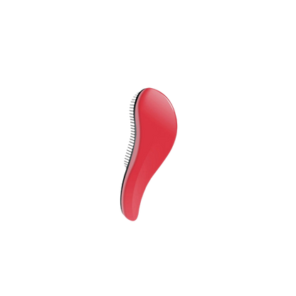 Brosse design rouge pour animaux