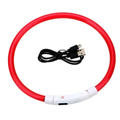 Collier à LED rouge pour chien