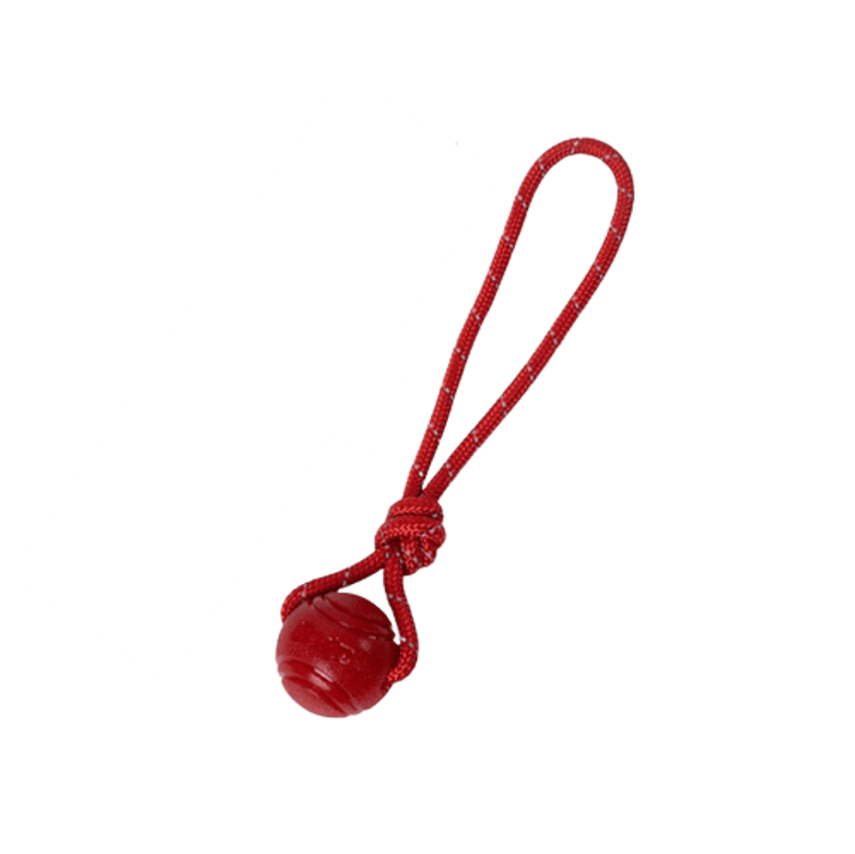 Balle en caoutchouc rouge avec ficelle pour chien