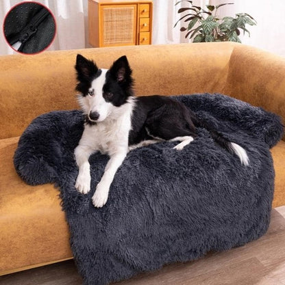 Chien sur un canapé-lit pour chien gris foncé