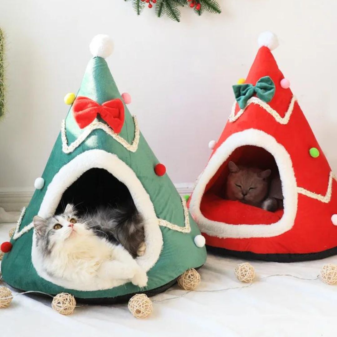 Espace de détente polyvalent