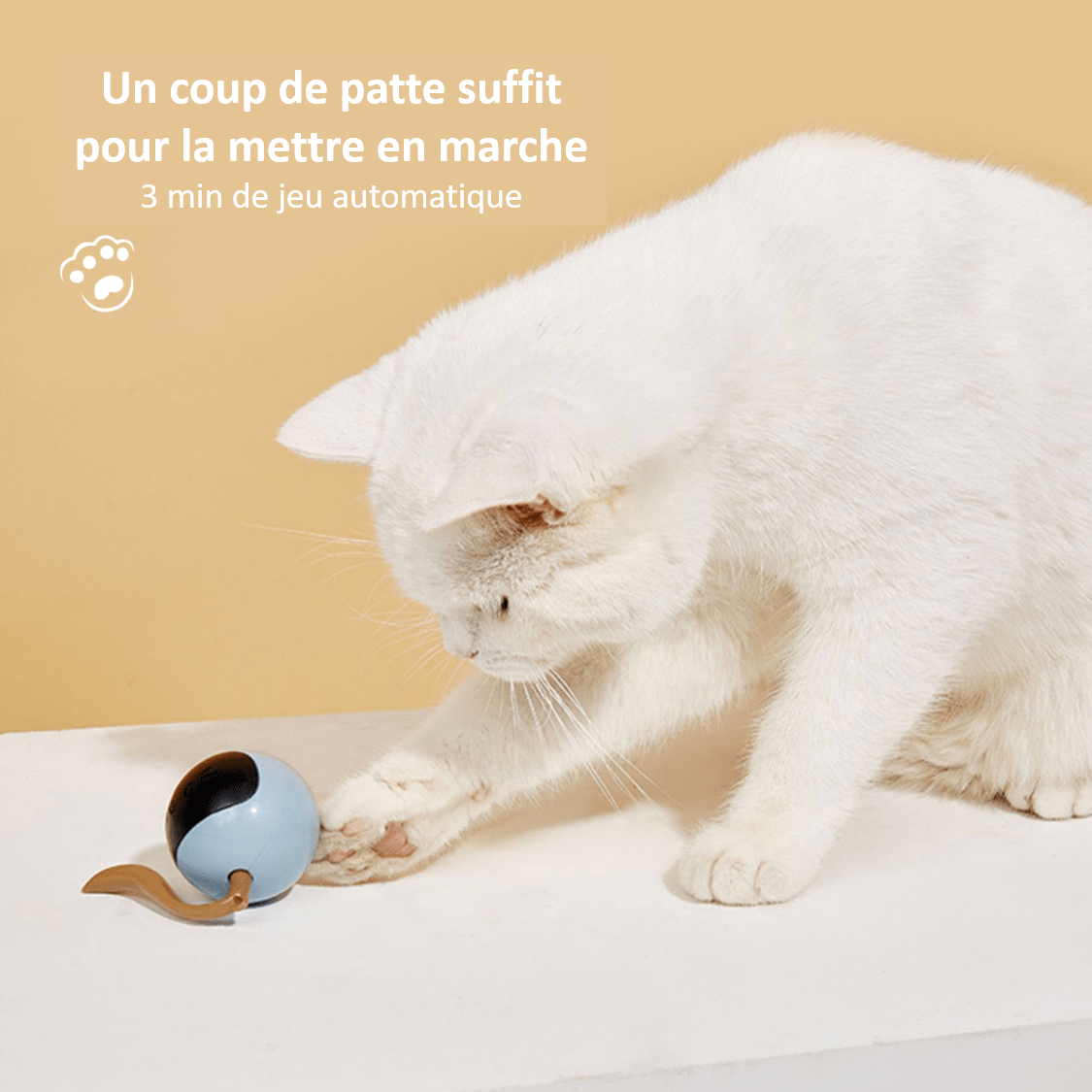 Balle automatique interactive pour chat